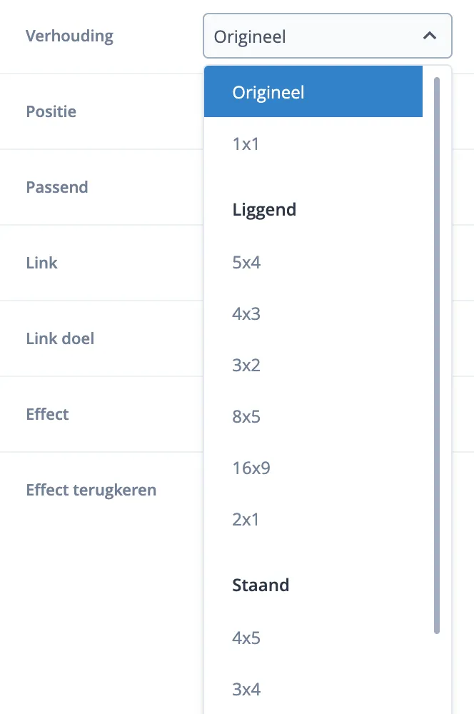 Afbeeldingverhoudingen