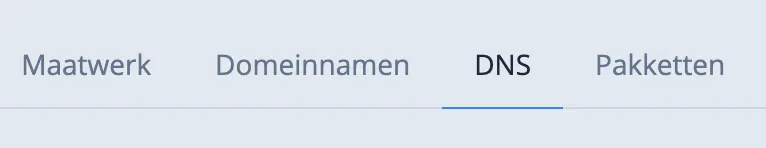 DNS instellingen pagina in Mach3Blocks