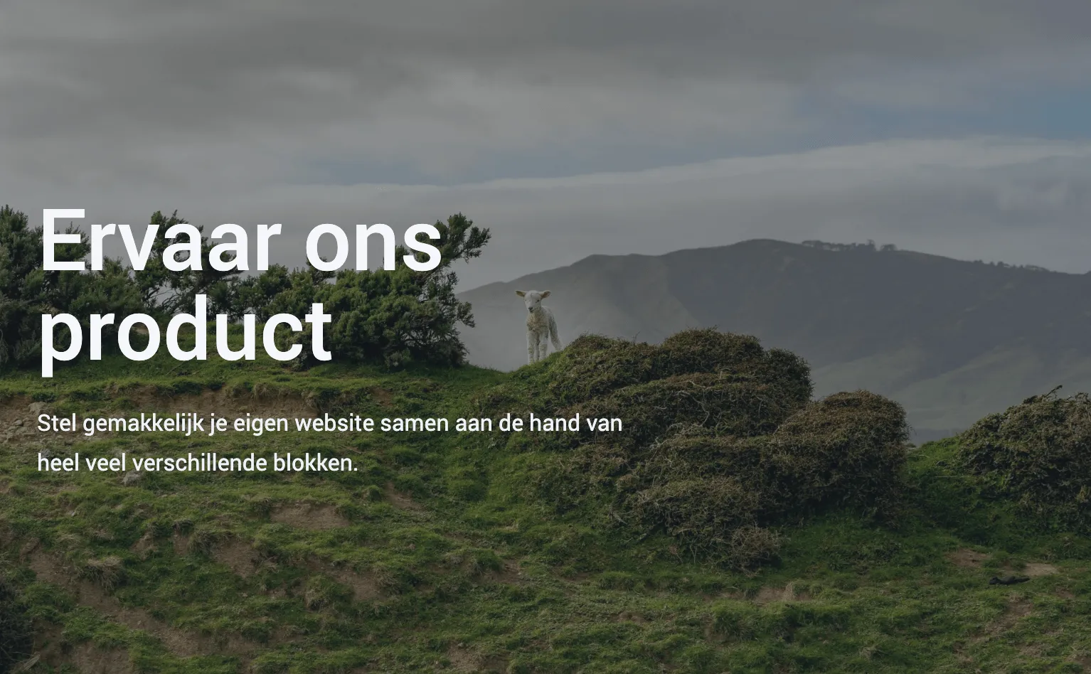 Tekst ingesteld voor tablet weergave